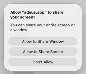 Allow screen share modal