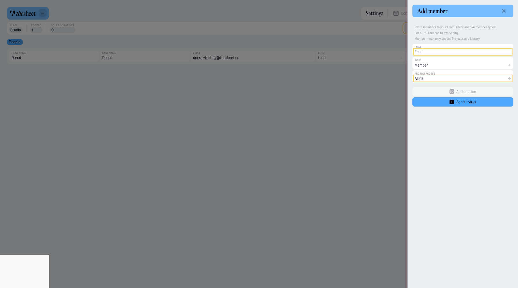 Add member dialog with email and project access