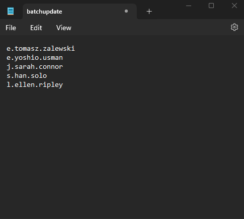 An example of a txt file to be used for a batch users update