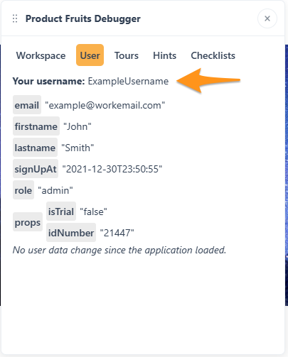 An example of the Product Fruits Debugger's User tab 