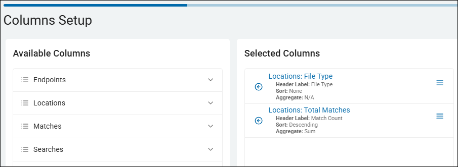 Column Setup for Total Matches by File Type report, including Data Type Names