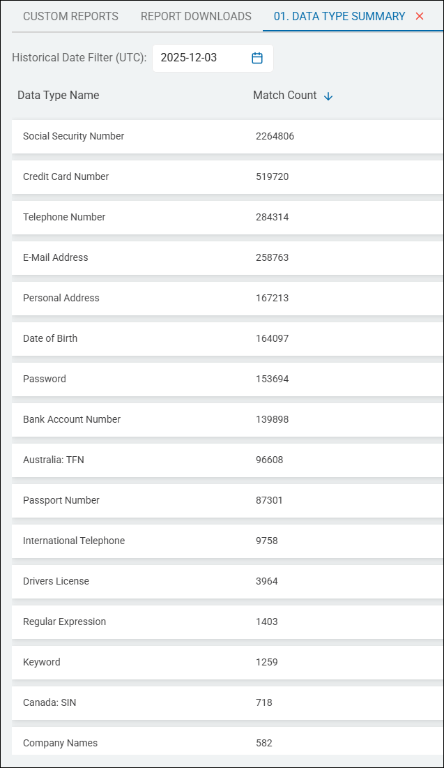 Example Data Type Summary report with Data Type Name - Match Count columns