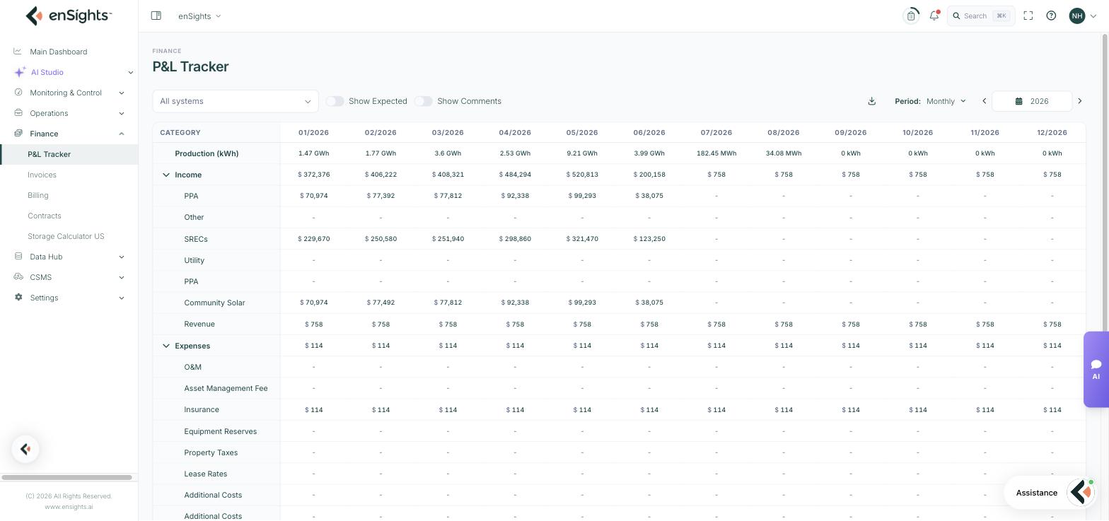 P&L Tracker with the monthly statement and the row hierarchy