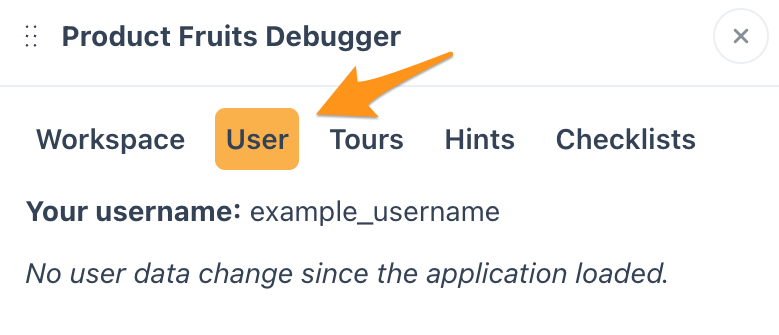 A screenshot of the User tab of the Product Fruits debugger pointing to the username