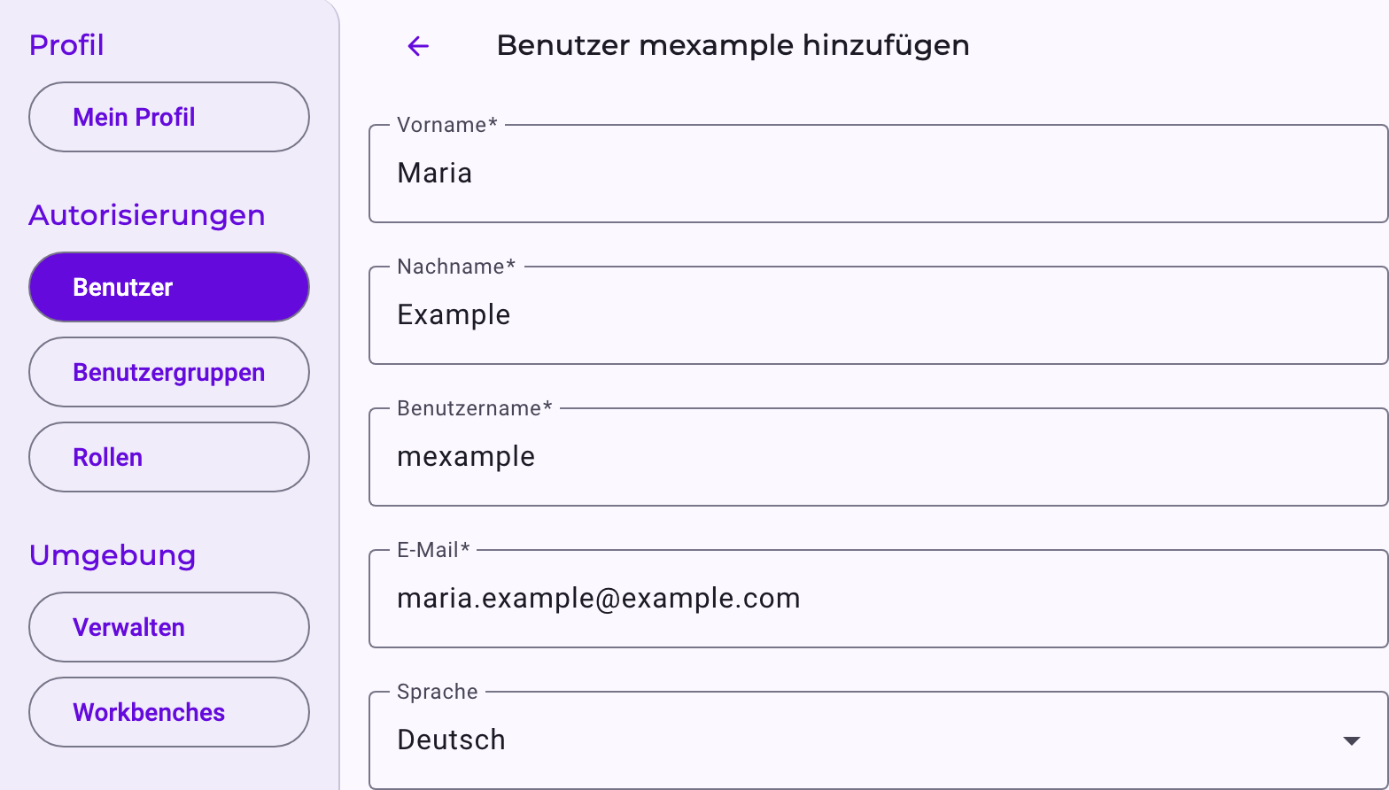 Das Formular Benutzer hinzufügen mit den Feldern für Name, Benutzername, E-Mail und Sprache